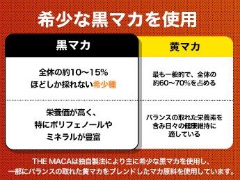 WELLMOTTO50倍濃縮 マカ サプリ 333000mg
