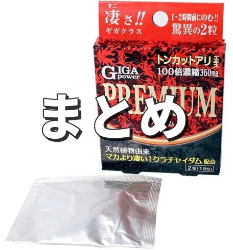 ギガパワープレミアム