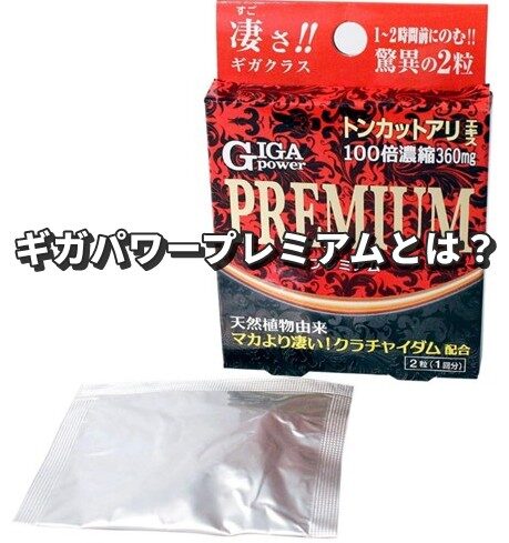 ギガパワープレミアム